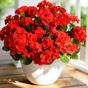 2 x Fake Outdoor Flowers, 6 Pcs Artificial Flowers for Outdoors, Red Artificial Geraniums Plastic Flowers, Fake Plant for Outside, Silk Faux Flowers Outdoor Planters UV Resistant for Front Porch