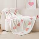 Amazon Basics Fleece Throw Blanket, Reversible Decorative Hearted Pattern for The Bed, Couch and Sofa, 60" W  80" L, Pink Heart