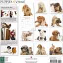 Gladstone Media, Puppies & Friends 2026 Square Wall Calendar