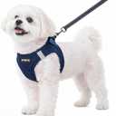 PINA No Pull Dog Harness and Leash Set - Breathable Mesh, Lightweight, Adjustable for Small to Medium Dogs - Easy On and Off (S (Neck:10-13" , Chest:14-17"), Navy Blue)