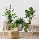iMagitek Large Green Plant Wall Decals Tropical Leaves 3D Potted Plant Wall Stickers for Living Room Bedroom Home Wall Decor 43.7x34.65inch
