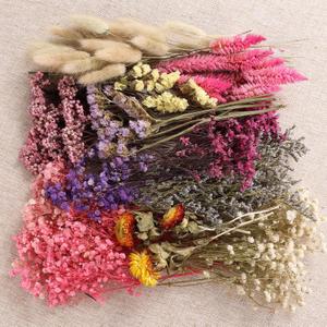 11 Kinds of Dried Flowers for Crafts Bulk DIY Natural Multi-color Dried Pampas Grass Lavender Forget Me Not Babys Breath with Stems Dry Flower Bouquets with Hemp Rope for Home Decor Floral Arrangement (Various Series)