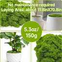 4 x Aspamms Fake Green Moss for Potted Plants Indoor, 5.3oz Artificial Moss for Crafts, Faux Moss Decor for Fairy Garden, DIY Decorative, Model Making, Walls, Glass Containers, Home