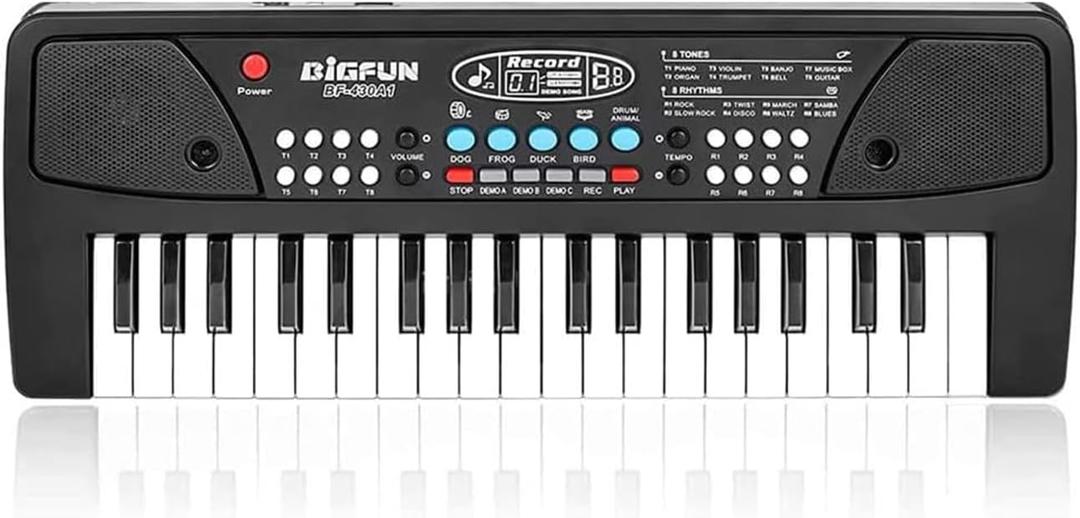 LeeQee Black 37 Keys Kids Piano Keyboard, Portable Electric Musical Instruments Piano with Microphone, Learning Educational Gifts Toys for Age 3 4 5 6 7 8 9 Years Old Boys Girls Toddlers LeeQee Black 37 Keys Kids Piano Keyboard, Portable Electric Musical Instruments Piano with Microphone, Learning Educational Gifts Toys for Age 3 4 5 6 7 8 9 Years Old Boys Girls Toddlers
