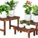 2 Tiered Small Plant Stands Shelf Indoor Outdoor, Wood Flower Pot Stand Holders Rack, Freestanding Corner Ladder Shelves for Plants Succulent Cactus, on Patio, Desktop, Window