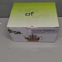 Hiware Glass Teapot with Stainless Steel Infuser & Lid, Borosilicate Glass Tea Pot Stovetop Safe, Blooming & Loose Leaf Teapots, 27 Oz