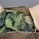 MARTINE MALL 2Pcs 48''/ 88 Leaves XXL Large Fake Ferns Artificial Ferns for Outdoors, UV Resistant Faux Boston Fern for Outdoor Planter Realistic Hanging Artificial Fake Plants for Porch Patio