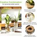 Glass Plant Propagation Stations for Plants Set of 4(2 Large & 2 Small) Hydroponic Vases for Plant Cuttings,Flower Arrangements, Home & Office DecorDesktop Vases for Living Room, Bedroom (4)