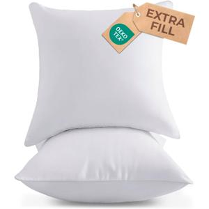 Throw Pillow Inserts 20x20 Set of 2 - Fluffy Down Alternative Fill - 10% More Fill Than Standard Loft - Plump Bounce-Back Support for Indoor & Outdoor Use - Hypoallergenic & Machine Washable - White