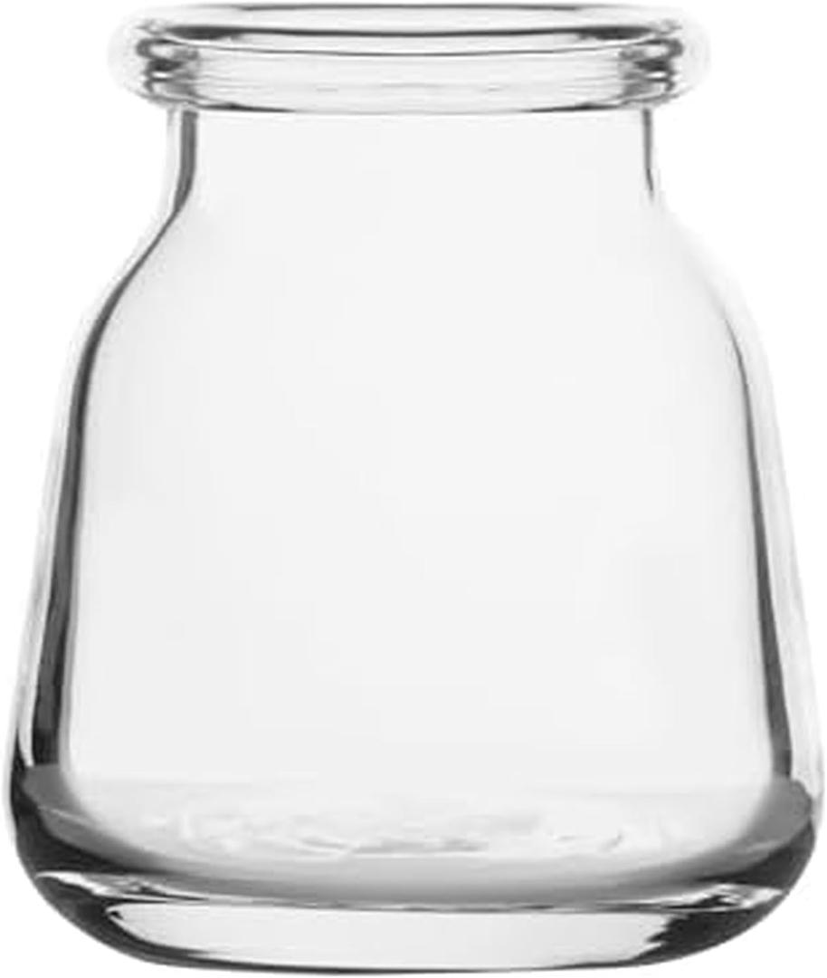 Elements Glass Milk Bottle Vase, for Use with Dried or Faux Flowers and Greenery, 4.2x4.2x4.72 Inch, Clear