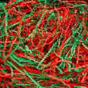 Uptotop 1 LB Crinkle Cut Paper Shred Filler for Gift Wrapping, Gift Basket Filling, Perfect for Birthday, Christmas, Thanksgiving, Halloween, Easter, Valentine's Day, Mother's Day, Father's Day, Wedding & Holiday Decor, Red and Green