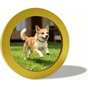 alfyng Round Photo Frame Wooden Wall Hanging Picture Frames for Home Office Wall Dcor (Gold, 6 inch)