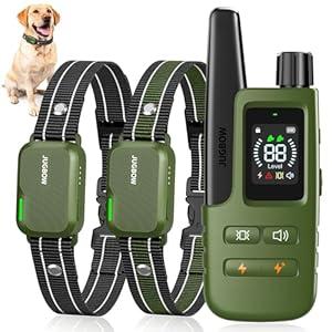 Jugbow Dog Shock Collar - 4200FT Dog Training Collar with Remote, IPX8 Waterproof Electric Dog Collar with 4 Training Modes, Security Lock, Rechargeable eCollar for 10-120lbs Dogs(Green 2 Pack)