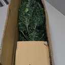 4 ft. Pre-Lit Artificial Christmas Tree with 100 LED Lights