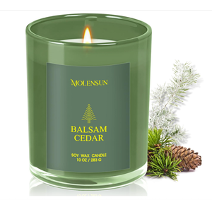 Apple Cider Candle, 10oz Soy Scented Candle for Home, Christmas Birthday & Holiday Gifts for Women & Men, Long Lasting 50+ Hour Clean Non-Toxic Burn, Elegant Winter & Christmas Festive Home Decor