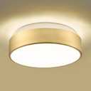 AUTELO 2-Light Close to Ceiling Light Fixture, 11 inch Frosted Glass Shade Flush Mount Ceiling Light Fixture in Antique Brass Finish, E26 Socket for Living Room Hallway Bedroom C3312 BRZ (Brushed Gold,1-Pack E26 12-Inch
)