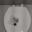 Bemis 7300SLEC Slow Close Toilet Seat, Easy Clean Hinges and Durable Plastic Seat, Made in USA, Elongated, White