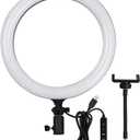 GODOX LR120 12 Inch LED Ring Light Photography Light Fill-in Light 3000K-6000K Bi-Color Temperature Adjustable Brightness USB Powered with Phone Holder for Live Streaming Selfie Makeup Photography