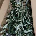 LOMANTO Artificial Olive Trees, 7 ft Tall Fake Olive Trees for Indoor, Faux Olive Silk Tree, Large Olive Plants with White Planter for Home Decor and Housewarming Gift, 1 Pack