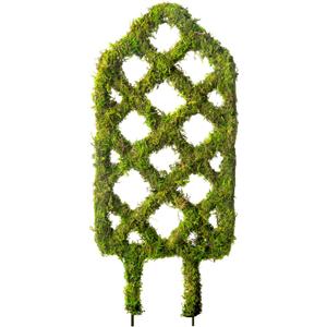 SuperMoss Plant Trellis - Decorative Garden Trellis for Climbing Plants Indoor & Outdoor | Moss-Covered Plant Support for Raised Garden Bed, Patio, Planters, and Garden Decor, Mini 17" X 6.5", Diamond