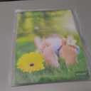 Grounding Pillowcase Queen Size for Better Sleep Includes 15ft Cord Earth Connect Grounded Bedding Pad Grounding Pillowcases Therapy(White, 20x30in)