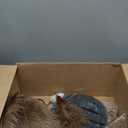 Feather Floor Lamp,Fluffy Ostrich Feather Floor Lamp for Bedroom,3 Color Temperatures Led Corner Modern Floor Lamps for Living Room Christmas Home Decor House Warming Gifts,63 Height,50 Piece(Brown)