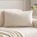 MIULEE Velvet Pillow Cover Soft Luxury Decorative Throw Pillow Cover Single Rectangle Cushion Case for Couch Sofa Bedroom Car Decor,12x20 Inch Cream White