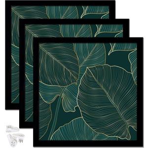 Black Picture Frame Set of 3, 24x24 Picture Frame for Square Photo Poster Canvas Certificate Document Display Horizontally or Vertically High Transparent Wall Gallery(Size 24 x 24 inches)