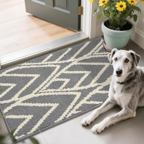 HDFK Door Mat, 30x17 Inch Gray Anti-Slip Entryway Rug for Muddy Paws - Washable Indoor Outdoor Floor Mats with TPR Backing, Mud Trapper for Pets & High Traffic Areas