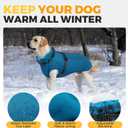 Lelepet Dog Coat for Large Dogs Waterproof Dog Jacket with Harness Built in Reflective Windproof Fleece Jacket with Zip Warm Winter Coats for Dogs Cozy Thermal Pet Snowsuit, Border Collie, Blue, XL