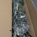 7.6FT (92'') Olive Tree Tall Skinny Artificial Plants for Home Indoor, Fake Potted Olive Silk Tree for Modern Home Office Living Room Floor Decor Indoor