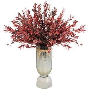 Perserved Dry Leaves, Dried Eucalyptus Leaves, Real Plant, Willow Eucalyptus, Vase Filler, Wedding, DIY, Shower, 30 pcs (Red)