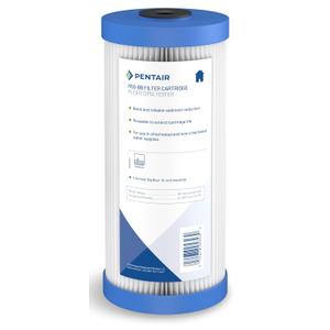 Pentair Pentek R50-BB Big Blue Sediment Water Filter, 10-Inch, Whole House Pleated Polyester Filter Cartridge, 10" x 4.5", 50 Micron