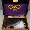 Brown Highlight Synthetic Lace Front Wig,136 Short Straight Glueless Bob Wig for White Women Daily Use 10IN