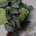 20 Pcs artificial eucalyptus stems fake eucalyptus faux greenery Leaves 23.6 Inches Silver Dollar Eucalyptus Fake Plant Decor Silk Eucalyptus Branches Artificial Greenery Plant for Wedding Decoration