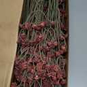 Baby Breath Flowers Fall Flowers Artificial Bulk, 30Pcs Fall Decor Fake Gypsophila Plants Bouquets Flowers Real Touch Faux Babies Breath Arrangement for Home Autumn Wedding Vase Decoration Orange