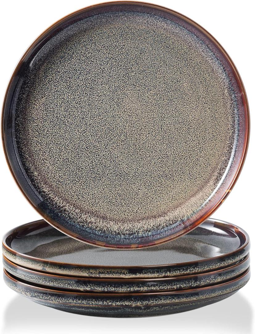 Ceramic dinner plates set of 4, Large Dinnerware Plates & Salad plates for party and wedding, Microwave safe porcelain plates set, 10 Inch 