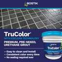 BOSTIK EZ Clean TRU Color 9lb Pre-Mixed Tile Grout – French Gray H142