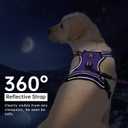 IVY&LANE No Pull Dog Harness for Medium Dogs, Dog Vest Harness with Leash, Safety Belt and Storage Strap, Fully Adjustable Harness, 360 Reflective Strip, Soft Handle (Purple, M)