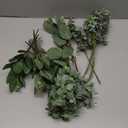 Winlyn 20 Pcs Mixed Artificial Oval Eucalyptus Leaves Bulk with White Seeds Stems and Spray for Vase Floral Wreath Bouquets Wedding Greenery Decoration