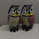 Galashield Owl Decoy to Scare Birds Away Scarecrow Fake Owl with Rotating Head 12 inch Tall (Set of 2)