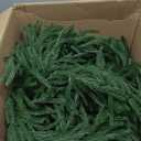 9FT Christmas Norfolk Pine Garland, Greenery Real Touch Decorations for Mantle Table Staircase Fireplace Mantel Porch Holiday Home Winter Faux Xmas Indoor Outdoor Decor, 4 pcs