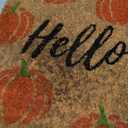 Fallovea Fall Pumpkin Door Mat, 30"x17" Hello Coir Welcome Doormat with Anti-Slip PVC Backing, Indoor Outdoor Autumn Mats for Front Door, Entryway, Porch, Durable Coconut Fiber Mat, Natural Home Decor