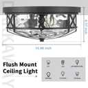 Darkaway 15inch Ceiling Light Fixtures Large Flush Mount Light Fixtures with Water Ripple Glass Shade, Indoor Outdoor Ceiling Light for Kitchen Bathroom Bedroom Hallway Entry Porch