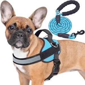 Haapaw Essential Dog Harness, No Pull Pet Vest with 3 Leash Clips, No Choke, Reflective, Adjustable and Padded, for Easy Walking and Training for Small Dogs(S, Blue)