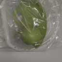 Dwarf Hamster Travel Carrier,Portable Hamsterl Cage Carrier with Silent Exercise Wheels Water Bottle Food Dish 2 Tiers Small Animal Breathable Carry Case for Mice Rat Sugar Glider(Green)