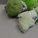 Big Brother Gift for Boy for Older Siblings of New Baby Includes Plush Dinosaur with Storybook, Ideal Birthday & Special Occasion Gift for Boys (Big Brother/Little Brother), 9.5 inches , 6 inches