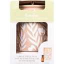 Fusion™ Candace Essential Oil Diffuser