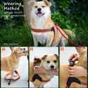 Dog Harness No Pull Ultra Soft Breathable Padded Pet Harness 2 Adjustable Botton, 3M Reflective Pet Harness for Dogs Easy Control for Dogs (M, Blue)