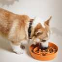 LE TAUCI Ceramic Slow Feeder Dog Bowl for Small Medium Dogs & Puppy, 1.5 Cup Puzzle Food Dish to Slow Down Eating, Pumpkin Orange